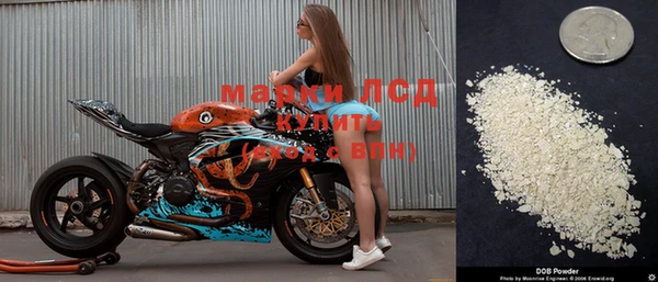 дживик Зерноград